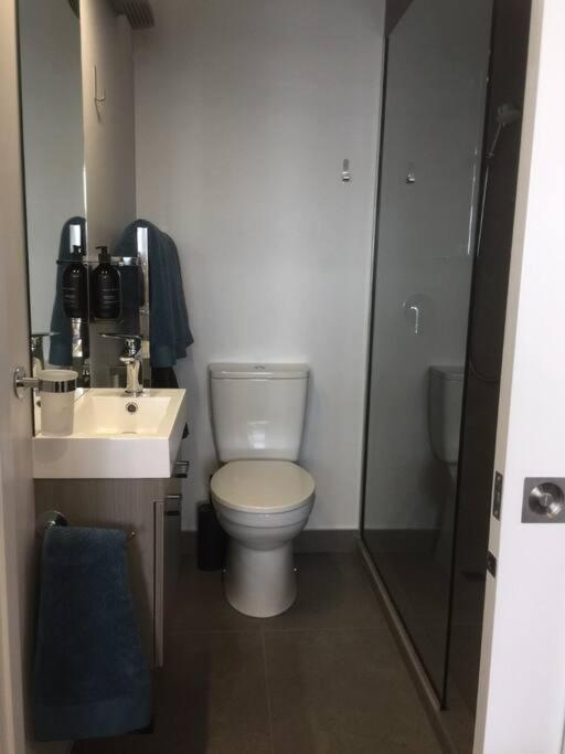 Luxurious New In The Heart Of The Dunedin